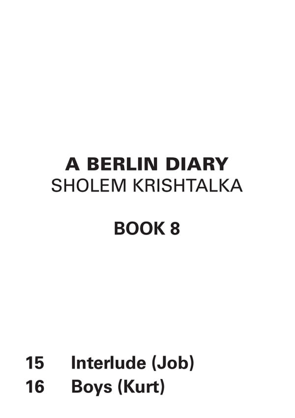 A Berlin Diary - Book 8 - Image 2